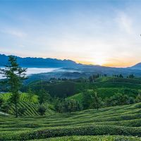 500萬噸/年！湖北儲量約1.12億噸建筑用花崗巖礦擬掛牌出讓